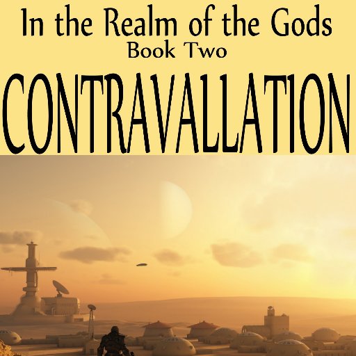 rpbirdwriter's profile picture. Professional writer since 1989. Author of the IN THE REALM OF THE GODS series and the SUZIE crime novels. Crazy, but highly reliable. Can fix about anything.
