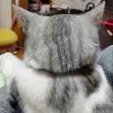 かね (@05_bm) Twitter