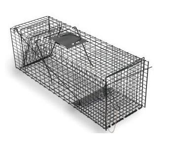 stuff4boyz's profile picture. CHECK OUT MY AUCTIONS!  GREAT DEALS AND HONEST DEALINGS