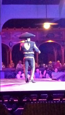 cake_inhaler's profile picture. Amateur Cake speed eater & Cycling disciple 🚲👍