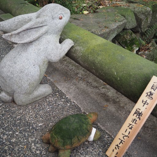 鰆さんのプロフィール画像