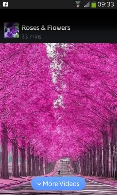 rabiyamayet's profile picture. 