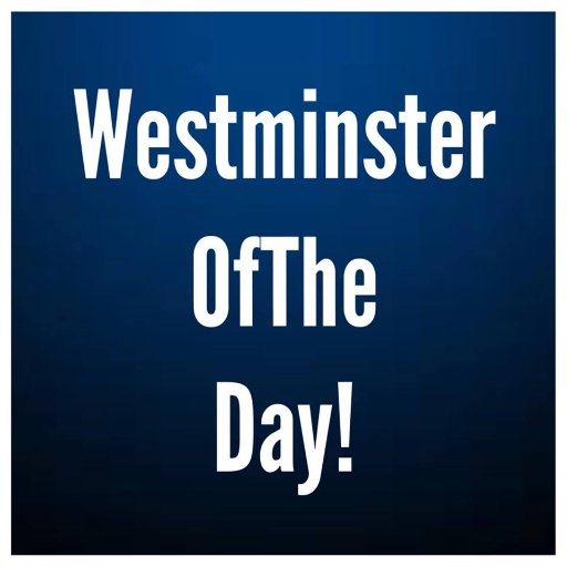 University Students-to-be! Take a look into to the Westminster Uni life and be convinced that this is the place for you! (Run by a current student)