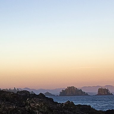 Arvinds93145979's profile picture. 