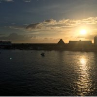 Amanda Lamoglia (@lamogs) 's Twitter Profile