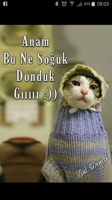 KOYUCU0's profile picture. 