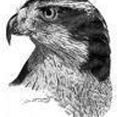 faucon1's profile image