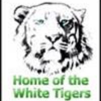 White Tigers (@welchwhitetiger) 's Twitter Profile