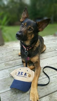 TexasMaligator's profile picture. 