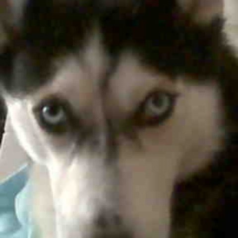 AngelaN856's profile picture. 