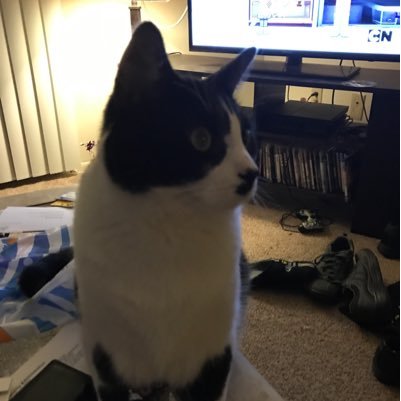 SoulScythr's profile picture. Animals Cute