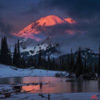 Scott White (@scottwh63) 's Twitter Profile