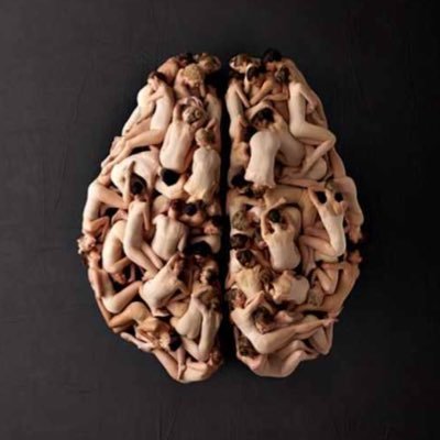 Los logros humanos no son de inteligencias descollantes individualistas,son un fenómeno íntegramente imputable al trabajo en red. Inspira, Descubre y Transforma