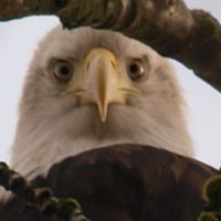 Geoff Smith (@cndidfrntotruth) 's Twitter Profile Photo Geoff Smith (@cndidfrntotruth) 's Twitter Profile Photo