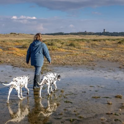 Natuur, Veluwe, Terschelling, Twente, dalmatiërs, paarden, lekker en gezond eten (maken)