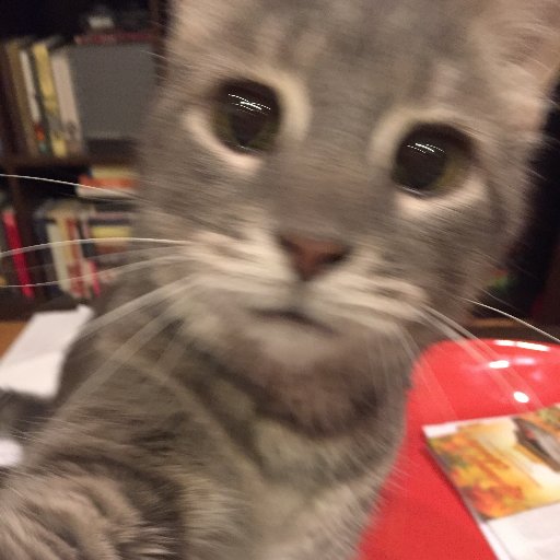 photografuurr's profile picture. 