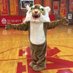 Wild Wildcats (@_mdstudents) Twitter profile photo Wild Wildcats (@_mdstudents) Twitter profile photo