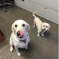 sunnydispo (in spite of it all) (@cm1962) 's Twitter Profile