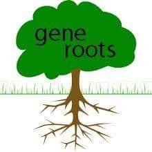 mygeneroots's profile image