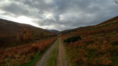 JWallaceTweet's profile picture. Into family, biking and education...