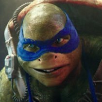donatello_tmnt1's profile picture. bros @michangelo_tmnt @donatellotmnt2 @raphael_tmnt1 leader father @splintertmnt11 married to @amolytmntgirl hurt her, you die!