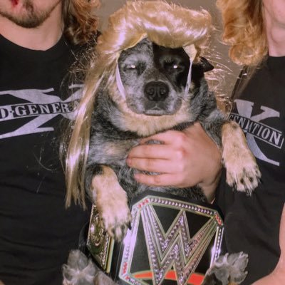 SweetMaddieGirl's profile picture. 