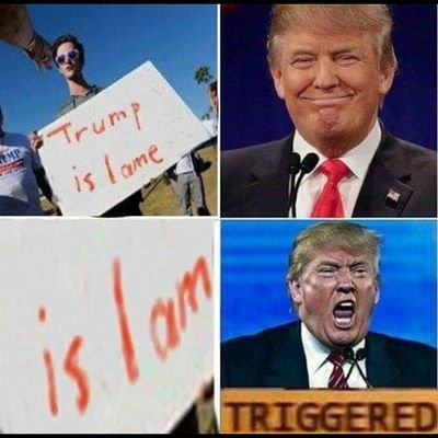 MorganDomin2's profile picture. 