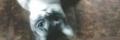 CoutinPaulor's profile picture. o cara