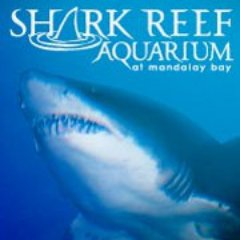 The official Twitter page for Shark Reef Aquarium at Mandalay Bay.