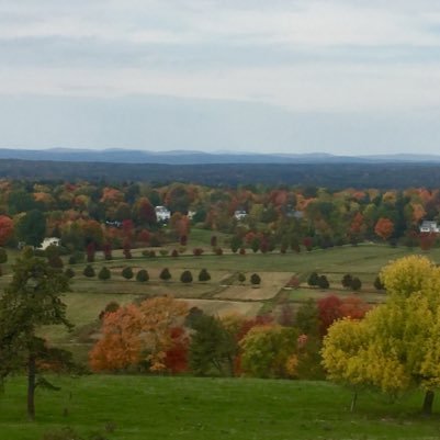 jdonovanNJ's profile picture. 