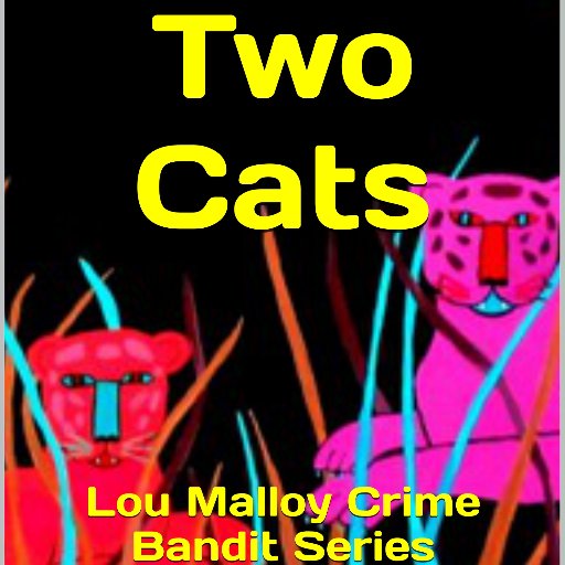 J. Frank James is the #author of the Lou Malloy Crime Series. #crimefiction #thrillers #books