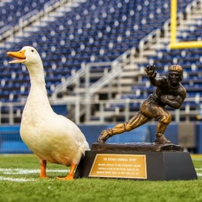 Aflac New York Metro & Long Island is searching for new superstar talent.  This account will keep potential team members up to date on the world of Team Duck!!!