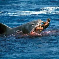 eden falcon (@eden57) 's Twitter Profile Photo