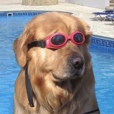 Kiwis2gee's profile picture. Is it socially acceptable if someone were to name their child Girth? I'm asking for a friend.