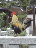 みどうまりさんのプロフィール画像