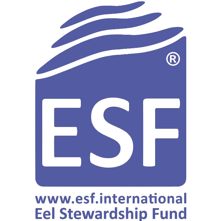 Eel Stewardship Fund is established to help finance a number of activities that contribute to the protection and sustainable use of the European eel.