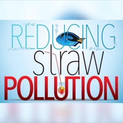 A group of young environmental activists working to address the overuse of plastic straws and the pollution it creates #strawlessisflawless