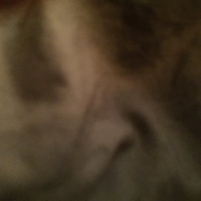 Rollo_c's profile picture. 