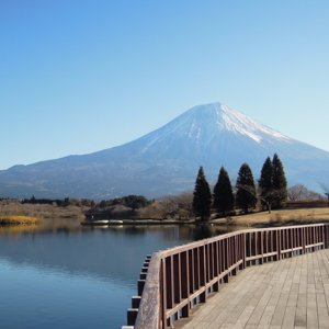 日本庭園・富士山が大好きで、また日々の生活へのこだわりも楽しんでいます。 よろしくお願いします。