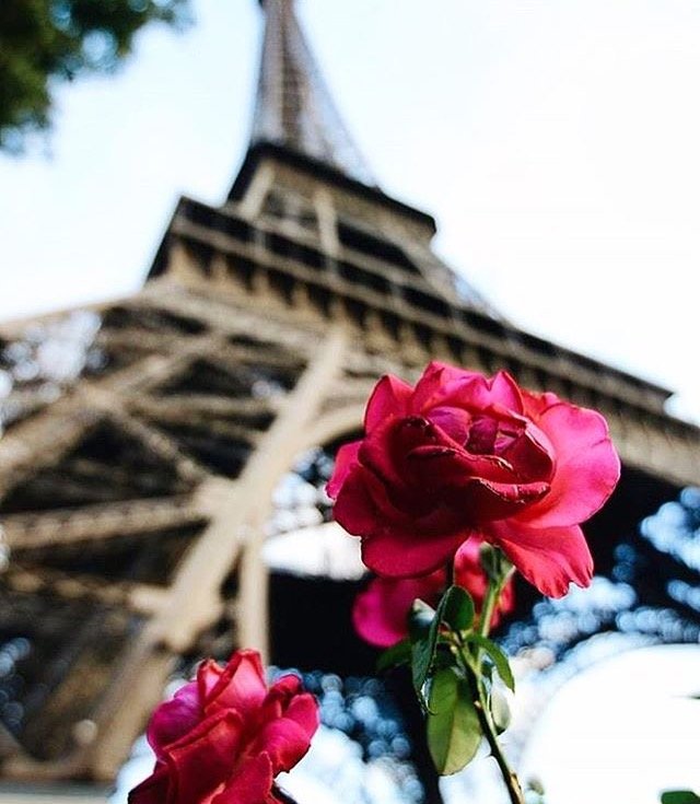 Découvrez la capitale nous sommes étudiantes et nous allons partager avec vous la vie parisienne ! 🇫🇷#Paris #Capitale #France #Magnifique