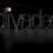 Divaderme Colombia꧁IP꧂'s Twitter (X) avatar
