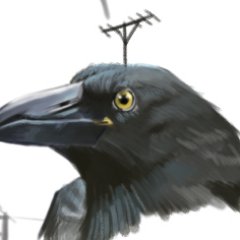 黑鳥さんのプロフィール画像