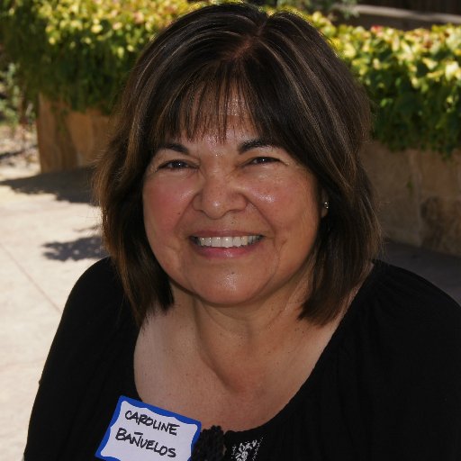 President Sonoma County Latino Democratic Club, Roseland Cinco de Mayo;Community Activist