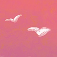 知子さんのプロフィール画像