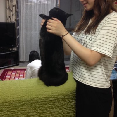 marisuke_1203's profile picture. 