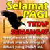 mang ujang77 (@mekedi1636) Twitter profile photo mang ujang77 (@mekedi1636) Twitter profile photo