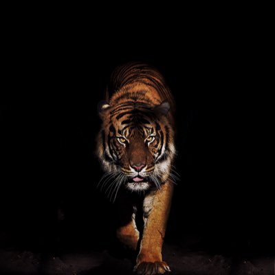 GavanBoucher's profile picture. Richmond, Liverpool and Science fan. Consumer of bacon and too much coffee. Will block stupidity and insults used in lieu of evidence. Put up or STFU...