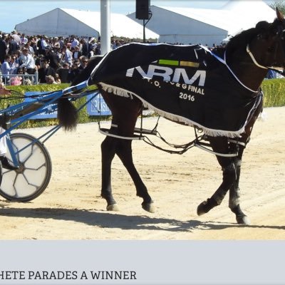 Ultmatebreeding's profile picture. 