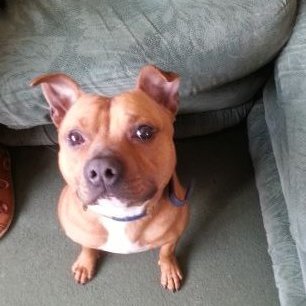 Michael58237323's profile picture. 