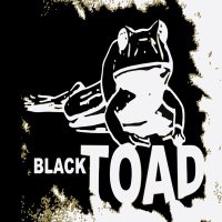 Black Toad(@toad_black) 's Twitter Profile Photo